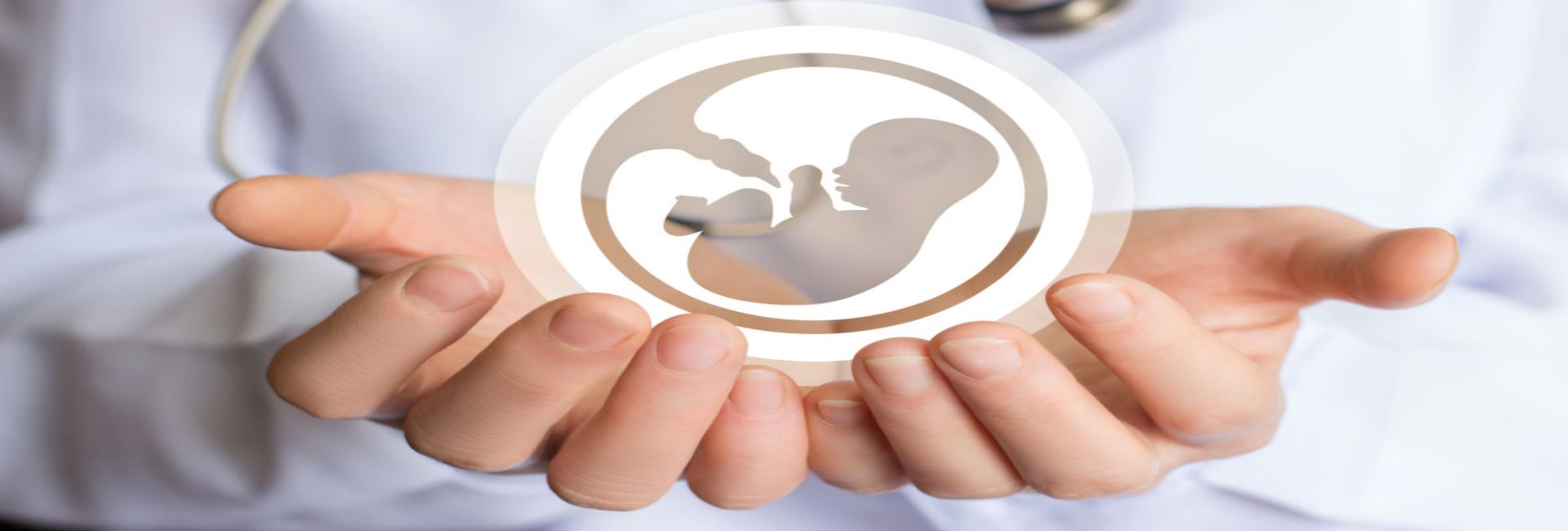 blog and news banner