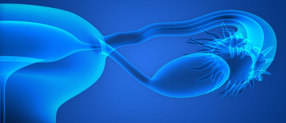 Egg quality in ivf