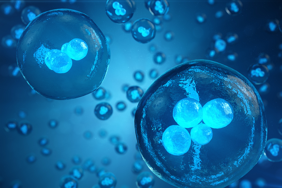 embryo Image