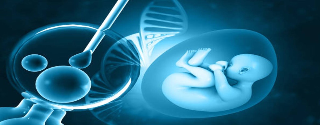 ivf-with-pgta blog
